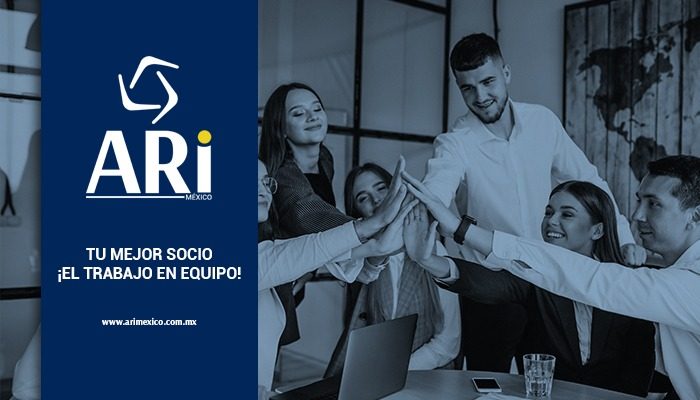 Imagen destacada -Tu mejor socio, tu equipo de trabajo